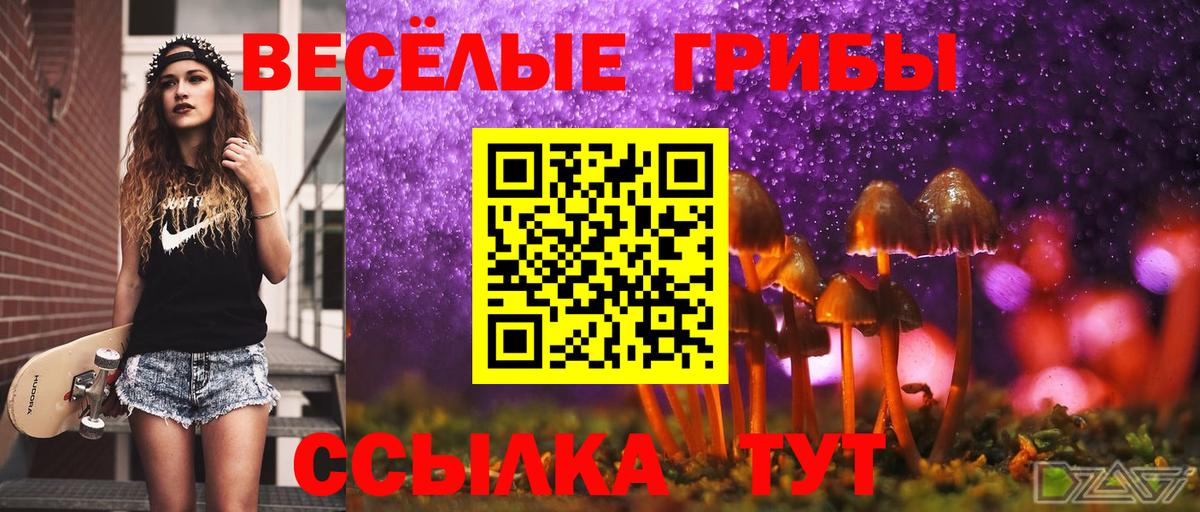 Псилоцибиновые грибы Cubensis  Вход с VPN  Мичуринск 