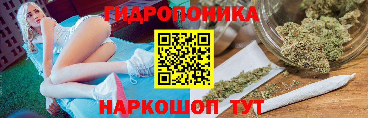 Бошки марихуана семена  Вход с VPN  Конопля сатива  Мичуринск 